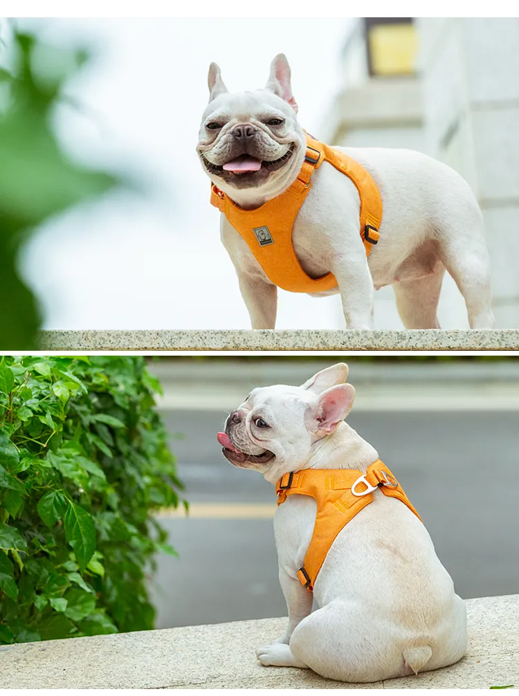 Truelove Recycled Pet Harness High Quality Adjustable Eco-friendly Recycled Material No Pull Breathable Soft Reflective TLH3012