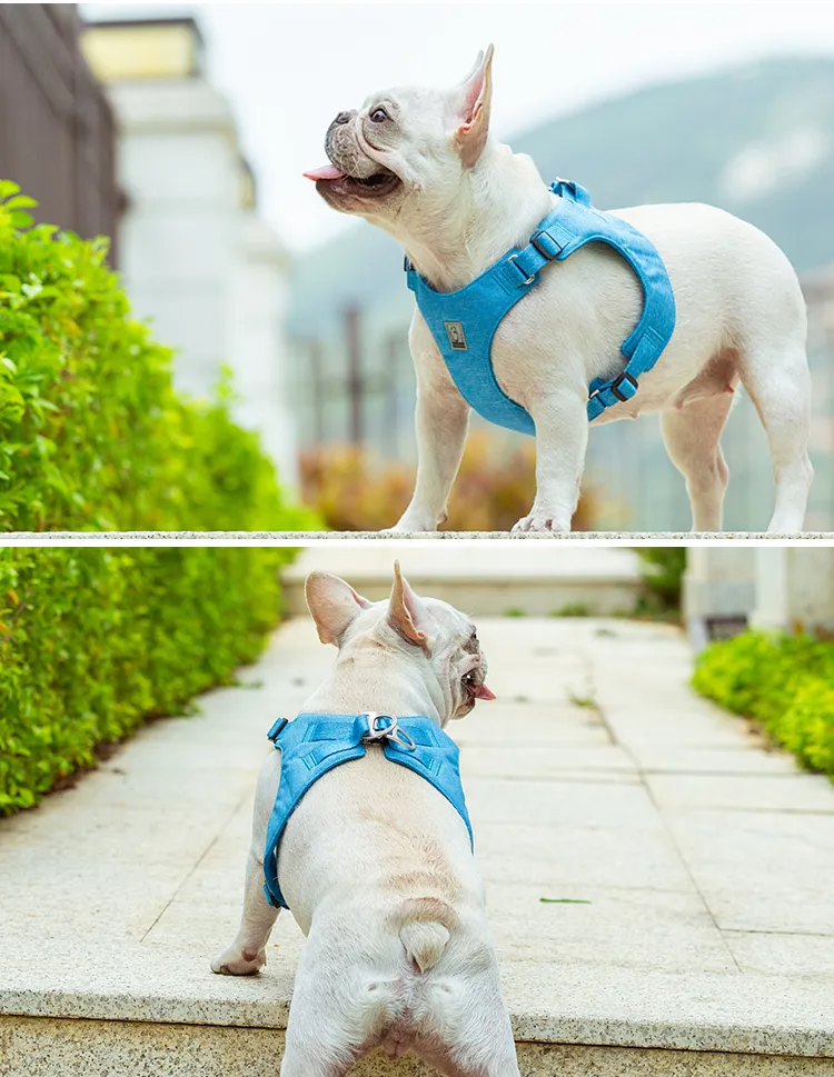 Truelove Recycled Pet Harness High Quality Adjustable Eco-friendly Recycled Material No Pull Breathable Soft Reflective TLH3012