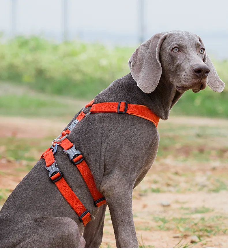 TRUELOVE Pet Harness Double-H Nylon Personalized Dog Harness NO PULL Reflective Breathable Adjustable YH1803