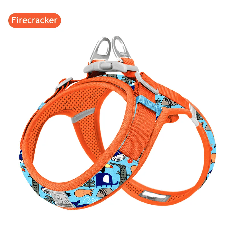 Firecracker