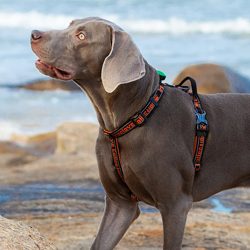 Truelove Pet Harness No Pull Tactical Service Pet Lift Breathable Mesh Reflective Sport Padded Dog Harness Vest TLH6172