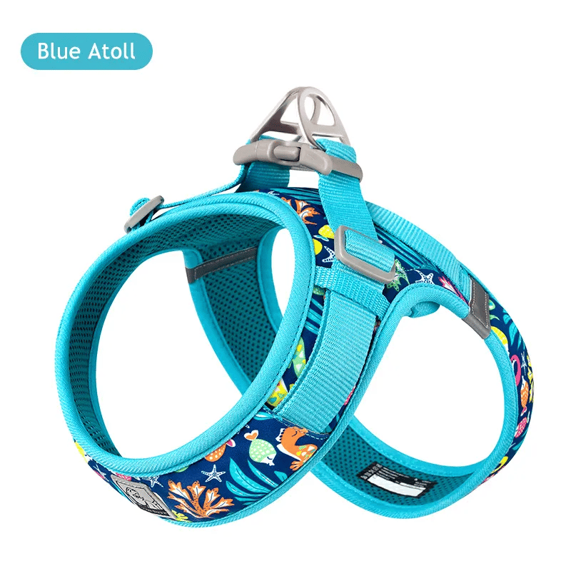 Blue Atoll