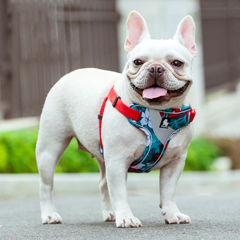 Truelove Floral Doggy Harness Soft Padded Cotton Pets Vest Dog Harness Adjustable Snappy Easy Fit Small JacketsTravel TLH5952