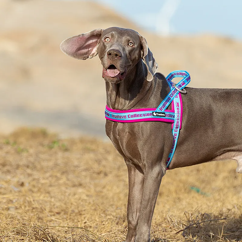 Truelove Pet Harness Neoprene Padded No Pull Dog Harness Pet Supplies TLH58121