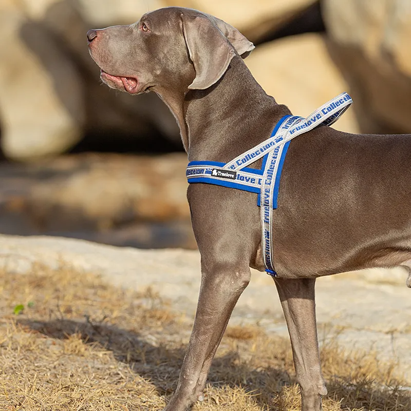 Truelove Pet Harness Neoprene Padded No Pull Dog Harness Pet Supplies TLH58121