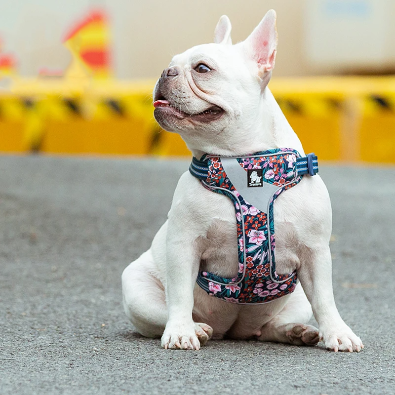 Truelove Floral Doggy Harness Soft Padded Cotton Pets Vest Dog Harness Adjustable Snappy Easy Fit Small JacketsTravel TLH5952