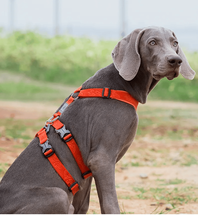 TRUELOVE Pet Harness Double-H Nylon Personalized Dog Harness NO PULL Reflective Breathable Adjustable YH1803