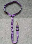 Scalable elastic reflective luminous Dog Car Seat Belt Adjustable Dog Safety Leash Travel Clip Pet Car Seat Belt