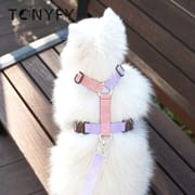 Pet Dogs Harness and Leash Set Adjustable Cat Puppy Walking Running Safe Soft Traction Escape Proof Pet Supplies Harness Belt