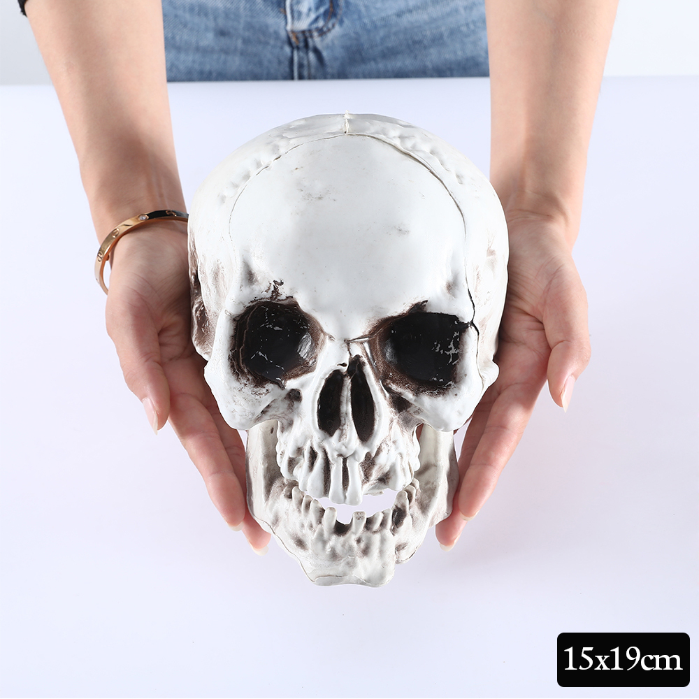 Halloween Skull Decor Prop Skeleton Head Realistic Looking Skulls for Adult Halloween Style Haunted House Party Home Decoration