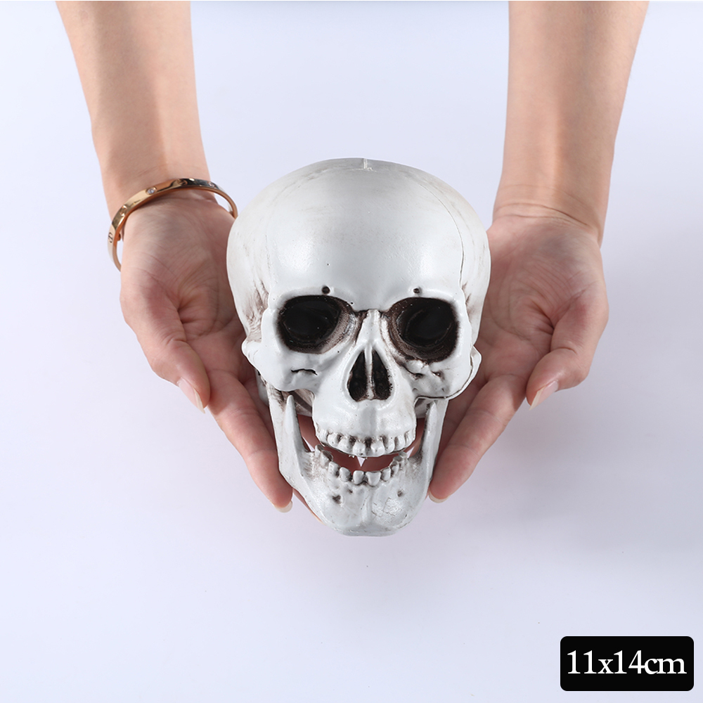 Halloween Skull Decor Prop Skeleton Head Realistic Looking Skulls for Adult Halloween Style Haunted House Party Home Decoration