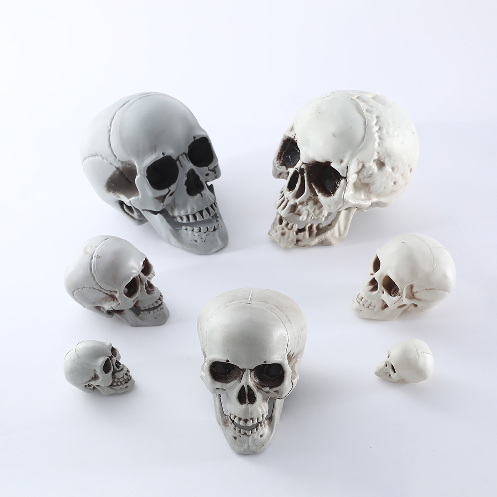 Halloween Skull Decor Prop Skeleton Head Realistic Looking Skulls for Adult Halloween Style Haunted House Party Home Decoration