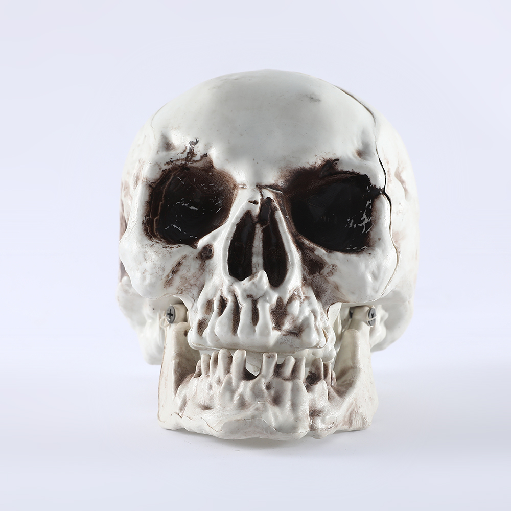 Halloween Skull Decor Prop Skeleton Head Realistic Looking Skulls for Adult Halloween Style Haunted House Party Home Decoration