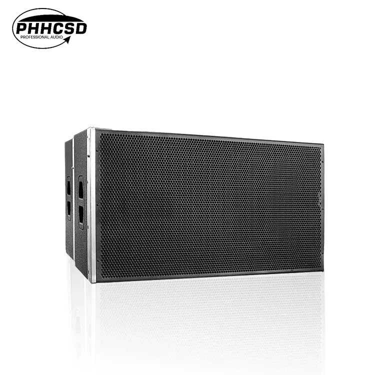 LX2120 Dual 12 Line Array Speaker