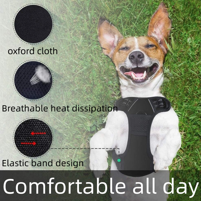 PETS PRODUCT  COLLAR&HARNESSES