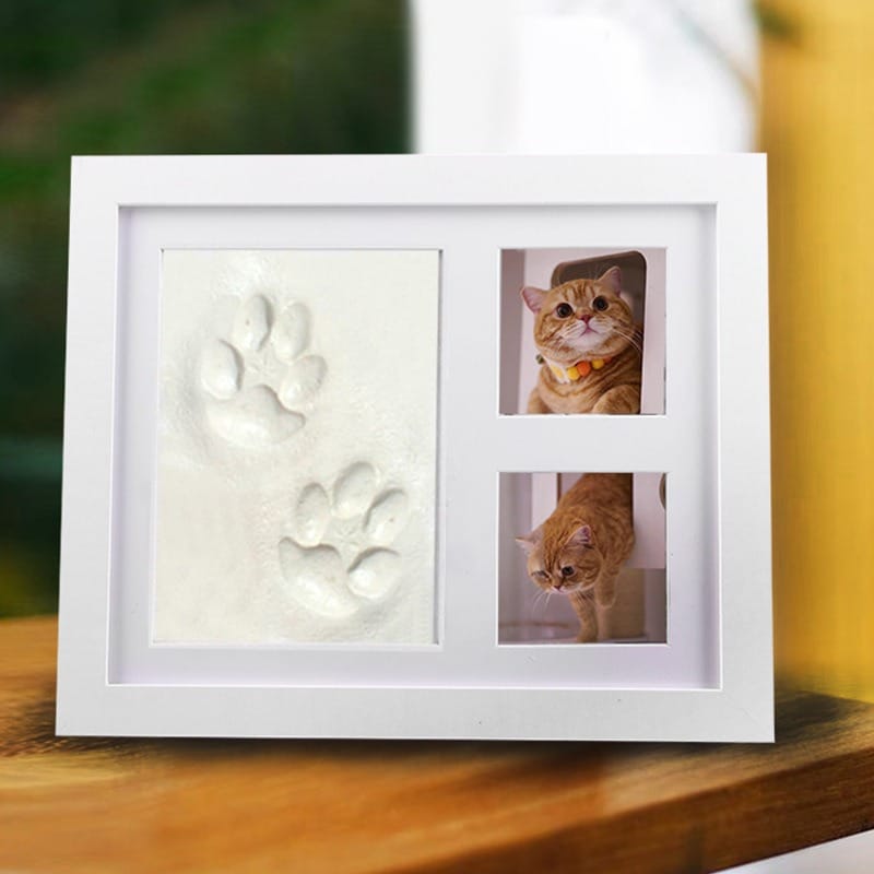 BABY & PETS FOOTPRINTS PHOTO FRAME MEMORIAL #CPP028
