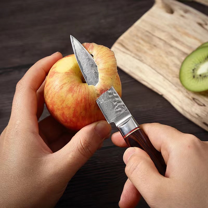 Damascus fruit knife