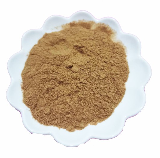 lion's mane mushroom extract polysaccharide powder