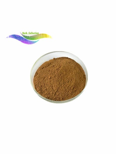 lion's mane mushroom extract powder 30% polysaccharide