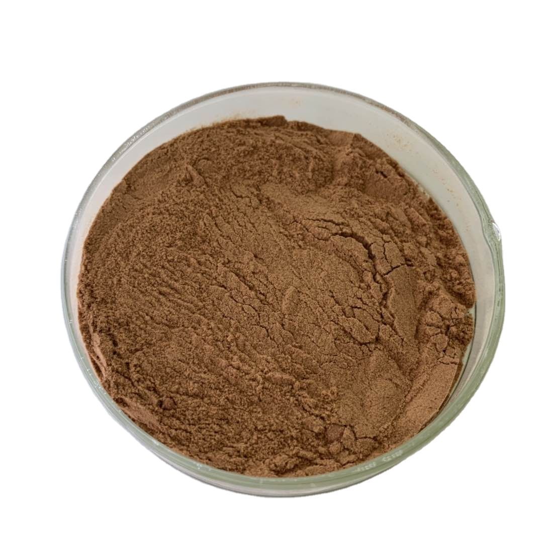 lion's mane mushroom extract powder 30% polysaccharide lion's mane mushroom extract powder 30% polysaccharide