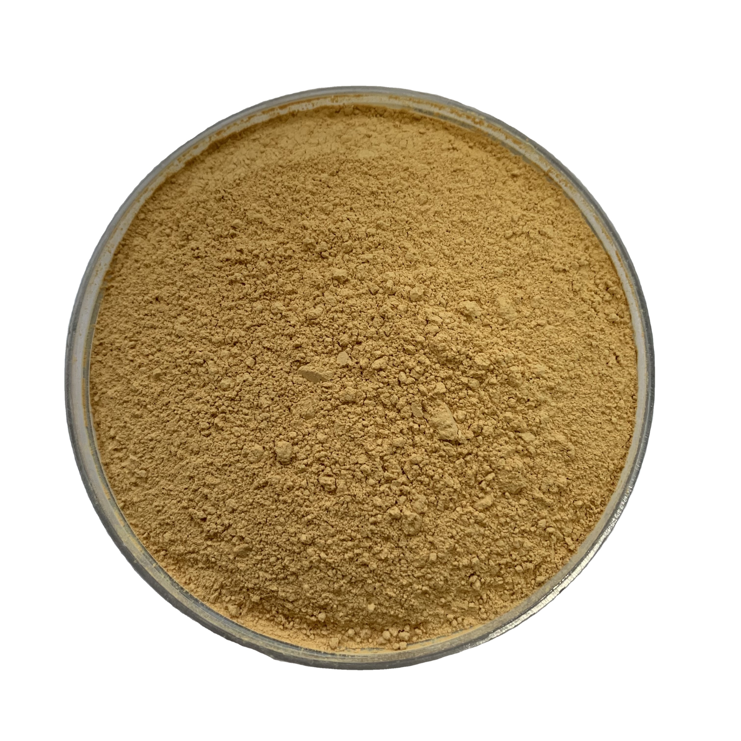 High Quality Notoginseng root powder