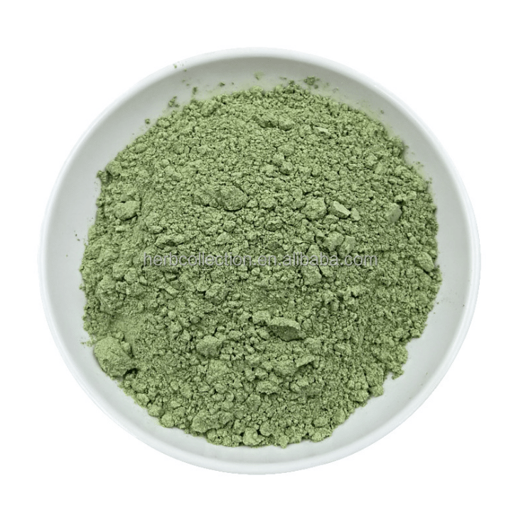 Supply 100% pure Alfalfa seedlings powder