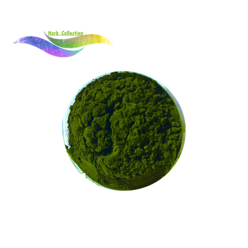 Supply 100% pure kelp powder-6417 Supply 100% pure kelp powder-6417