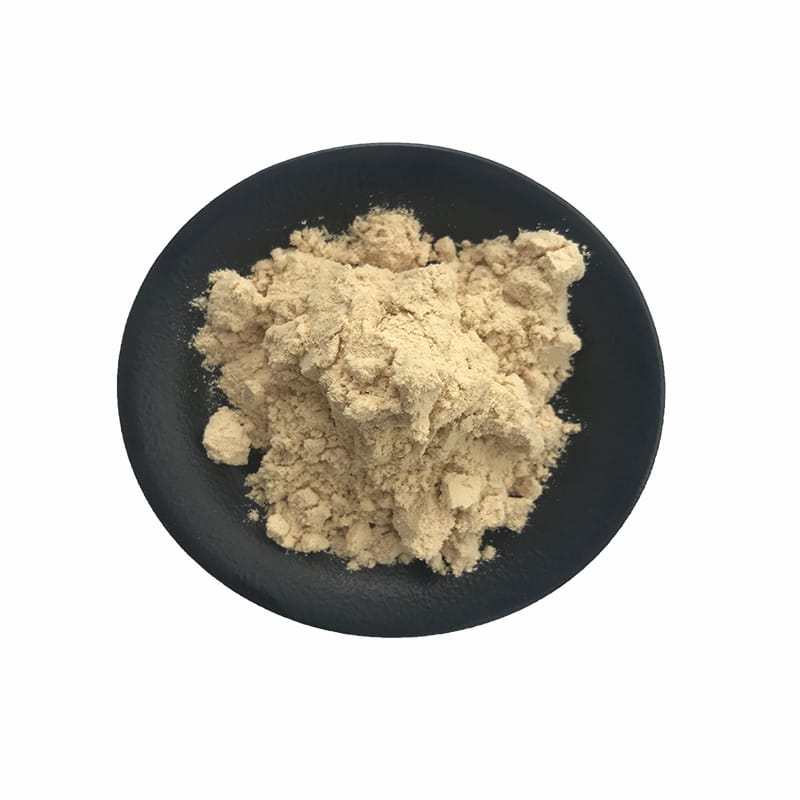 Brown rice protein powder
