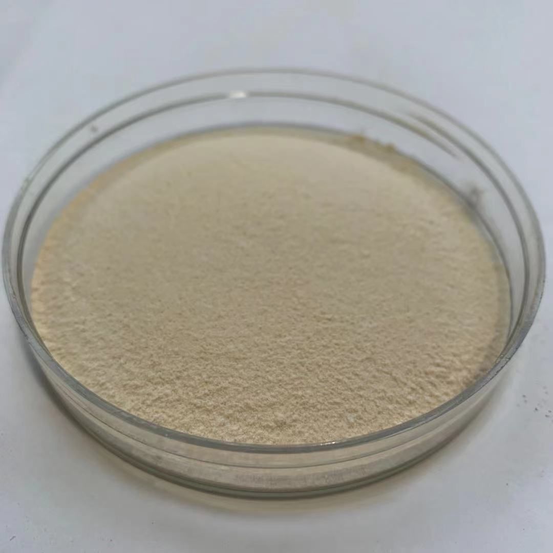 Freeze-dried royal jelly powder
