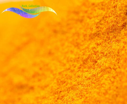 Coenzyme Q10 98% powder-3465