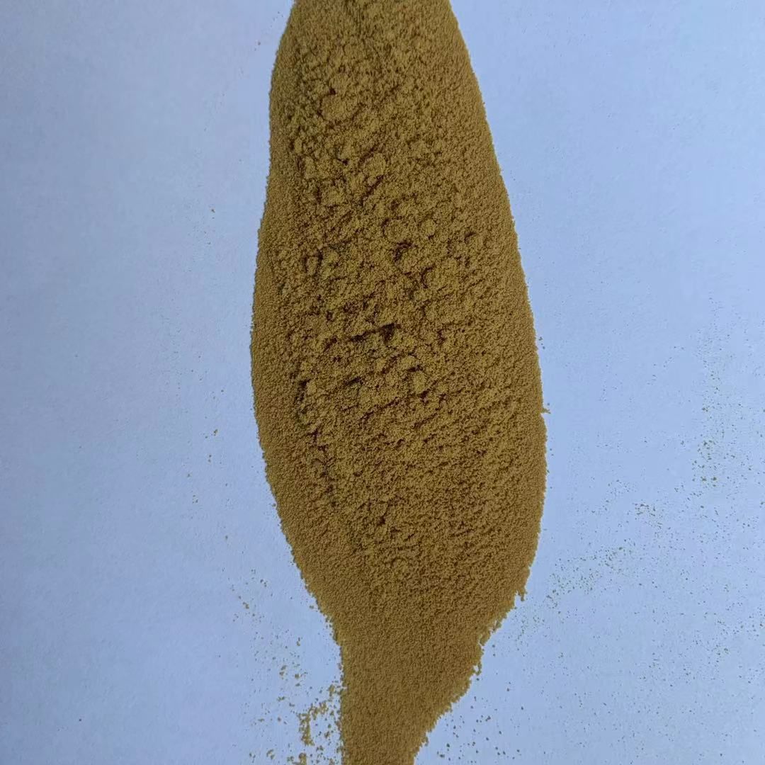 Gastrodia elata extract powder