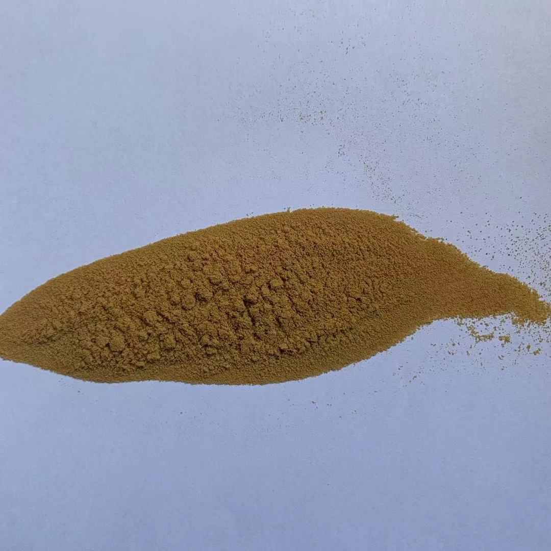Supply 100% pure kelp powder-2339