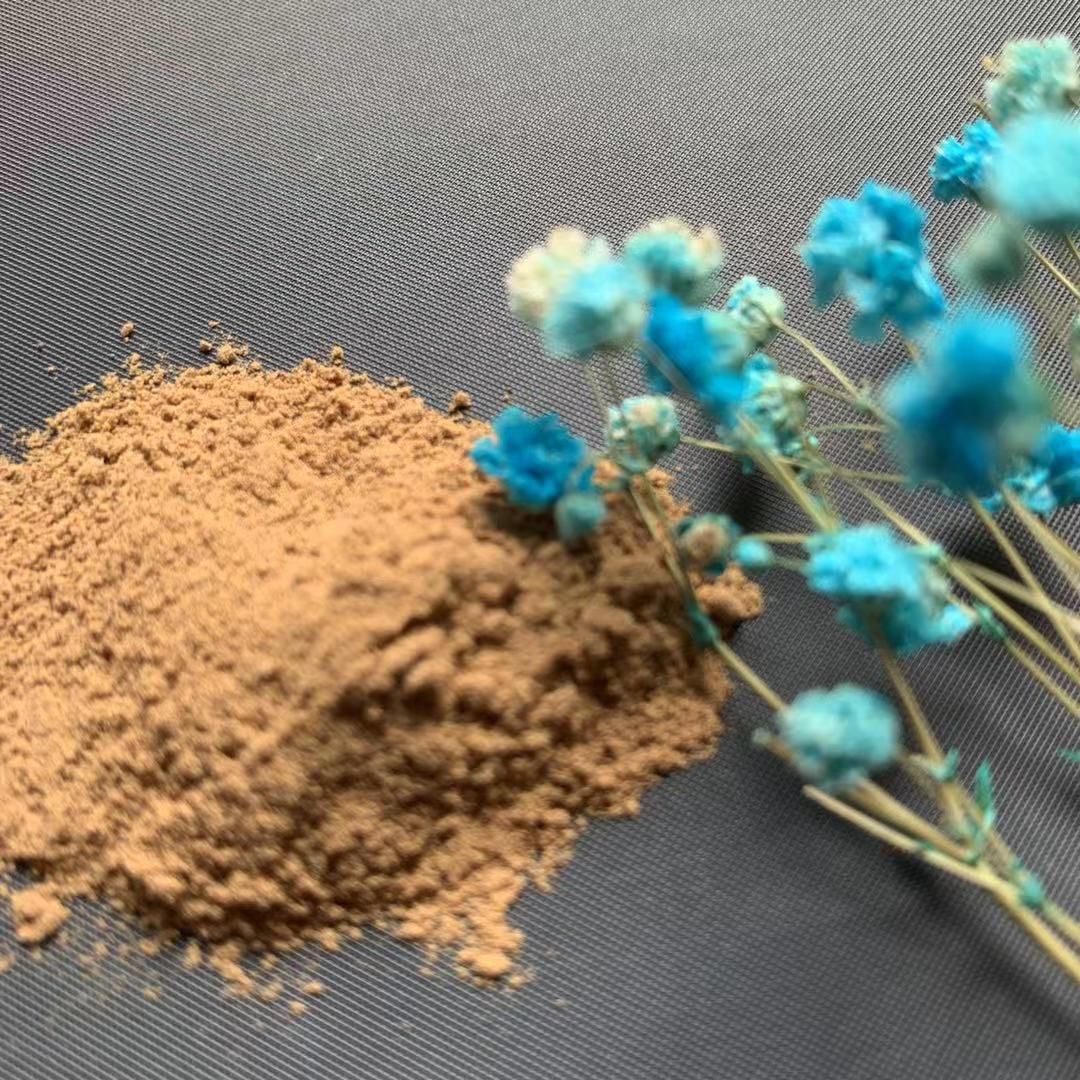Supply High quality 80% panaxoside Ginseng extract powder