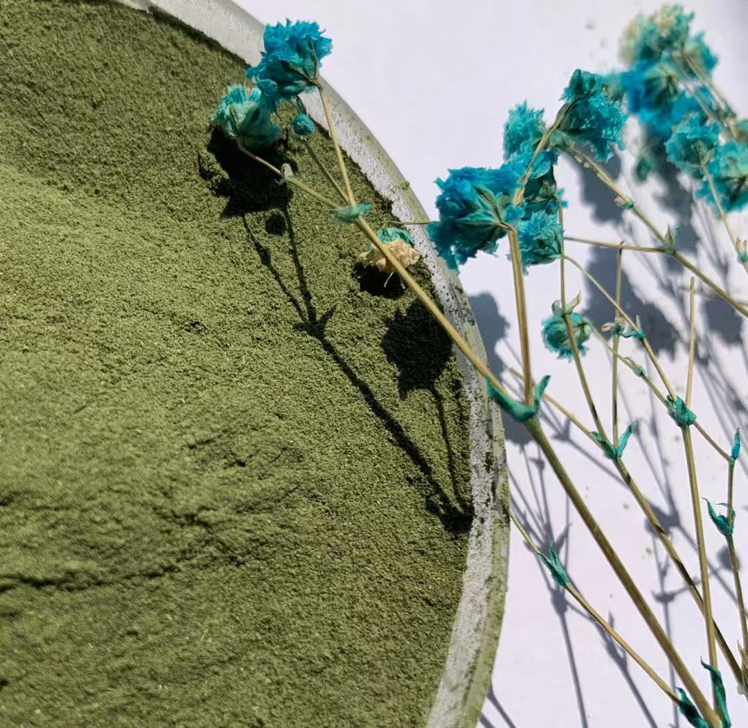 Supply 100% pure kelp powder Supply 100% pure kelp powder