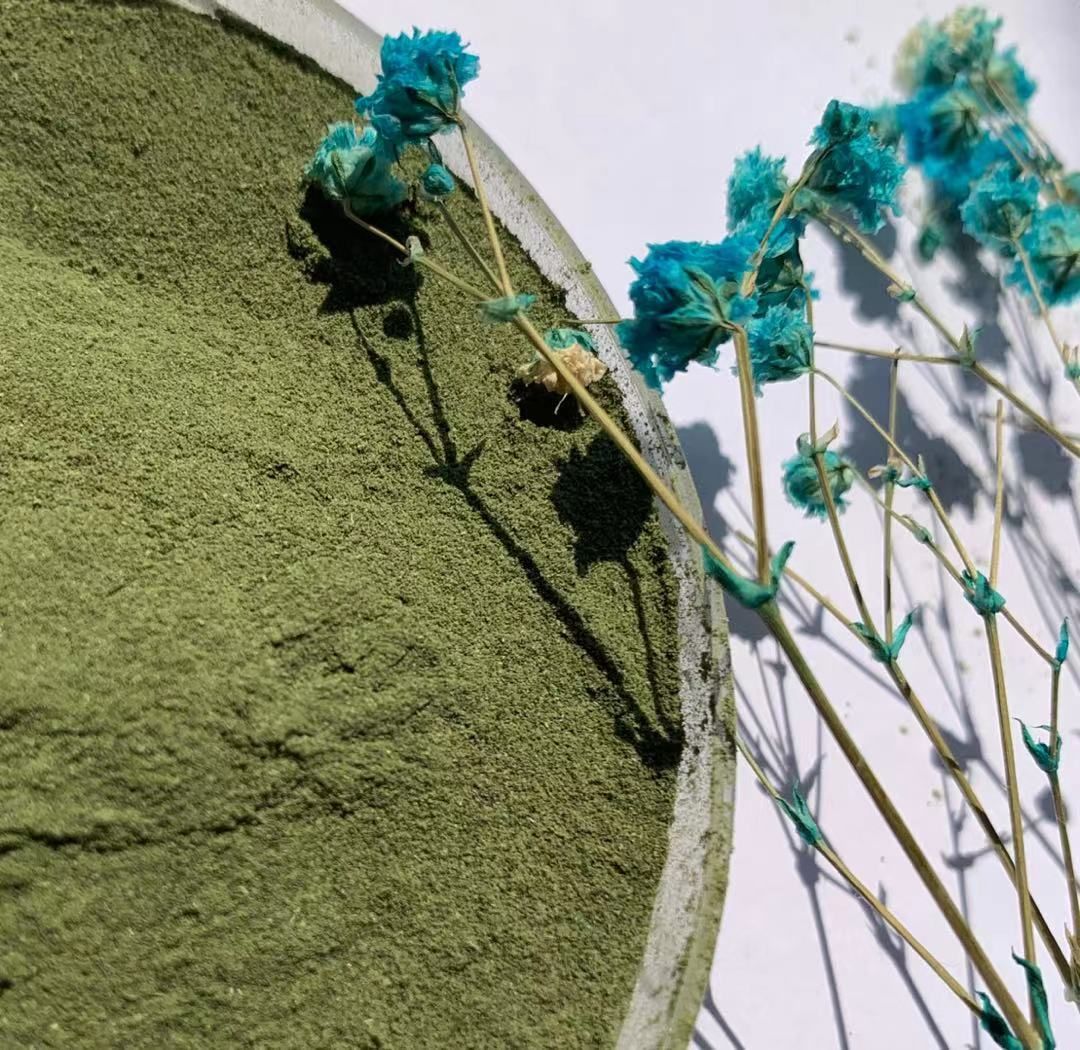 Supply 100% pure Alfalfa seedlings powder