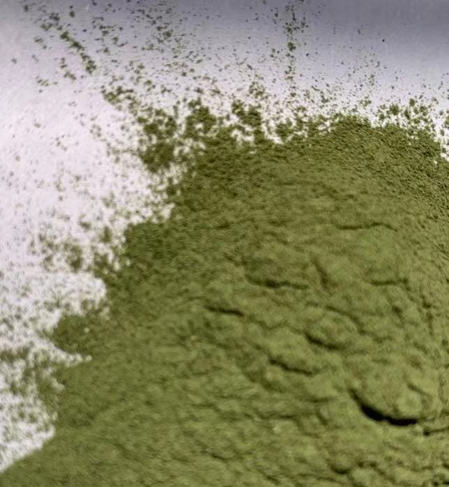 Supply 100% pure Alfalfa seedlings powder