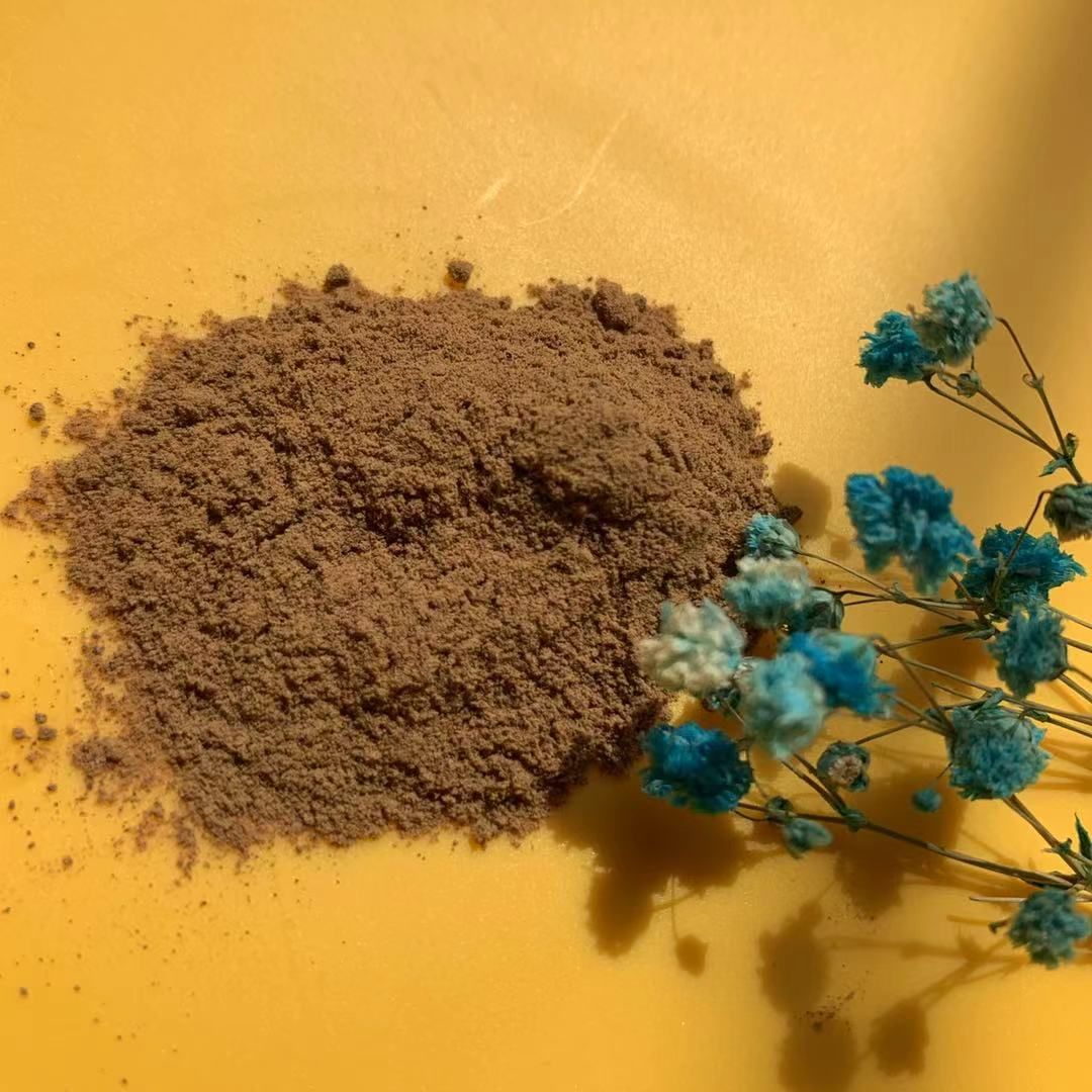 Supply 10:1 kelp extract powder