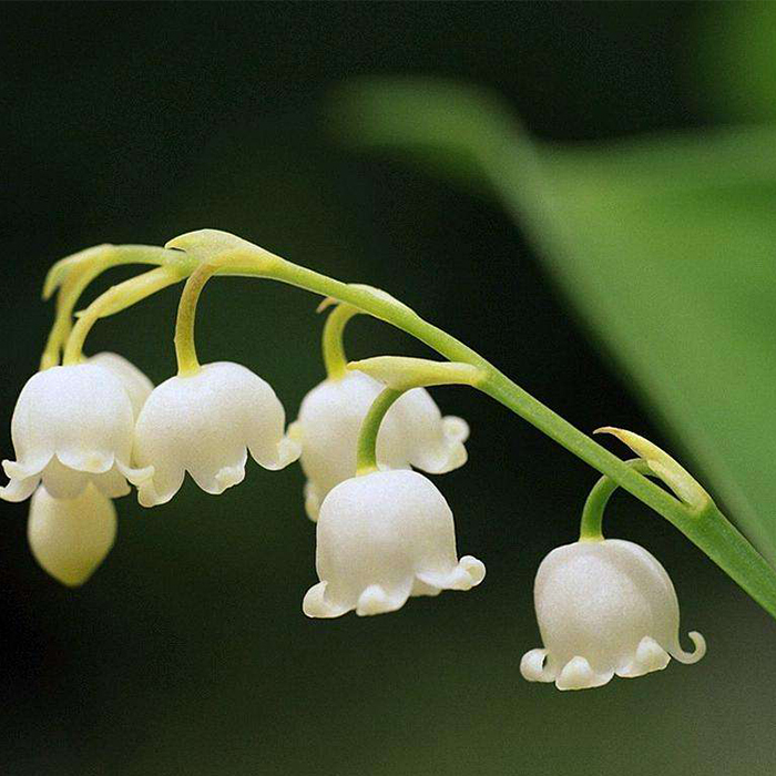 My client's project in Canada was successfully completed