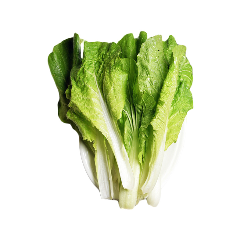 Fresh Vegetables from Best Quality Good for Health-8286