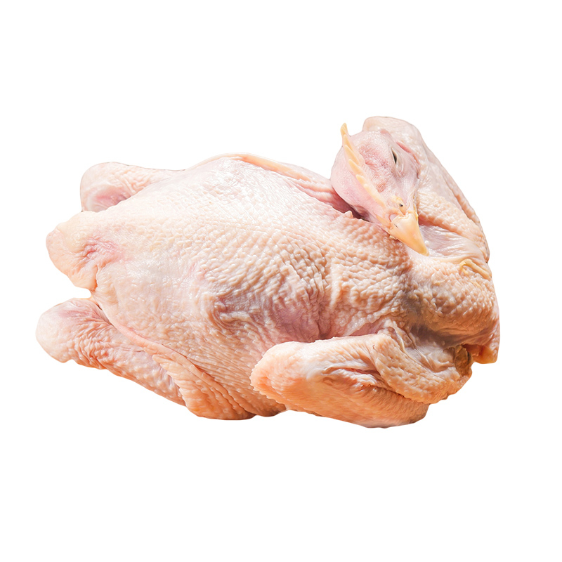 Wholesale high quality yummy supply fresh meat-9897