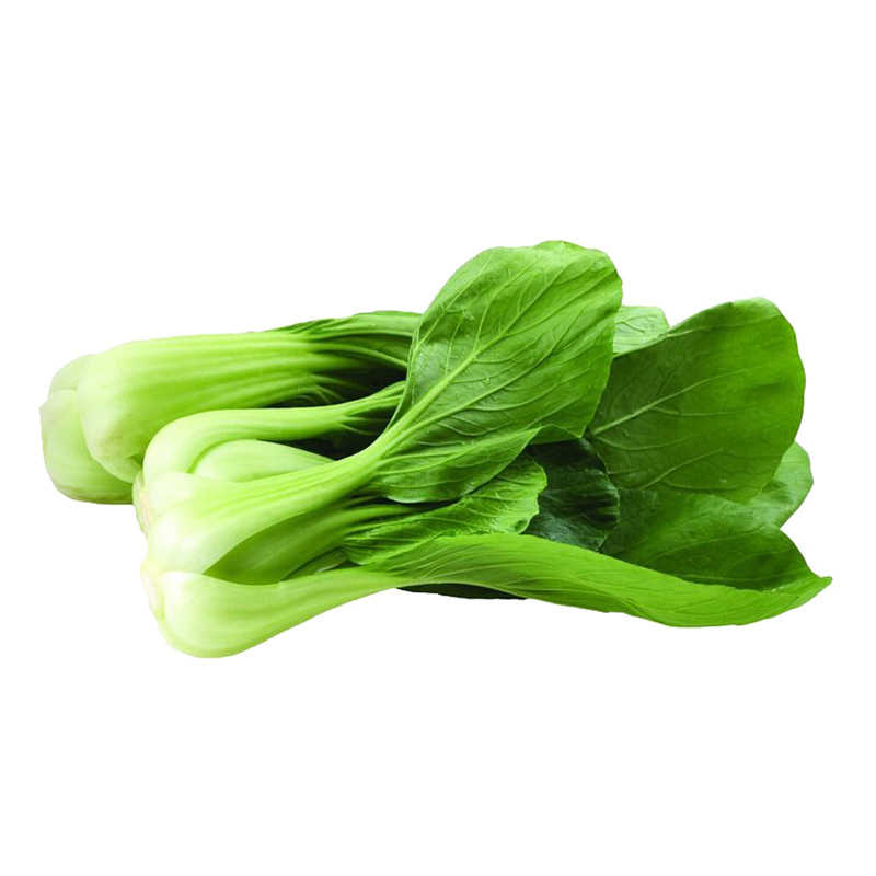 Fresh Vegetables from Best Quality Good for Health-8300