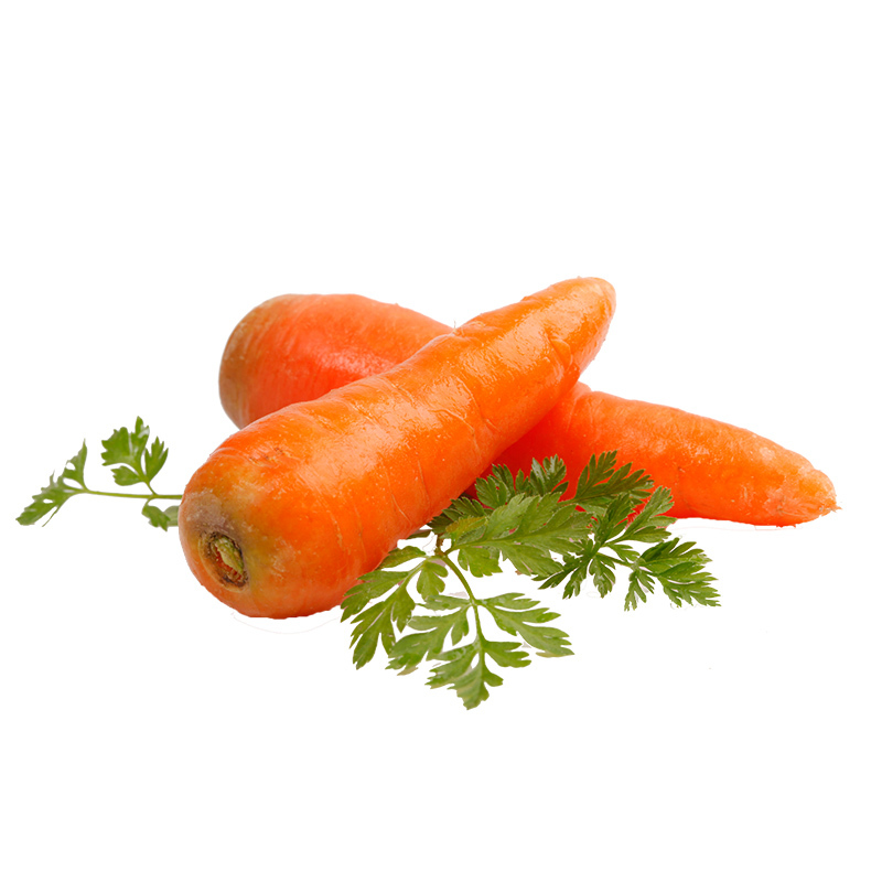 Fresh Vegetables from Best Quality Good for Health-8277