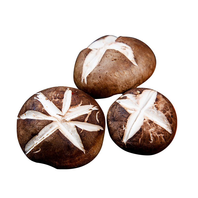 Fresh Vegetables from Best Quality Good for Health-8273