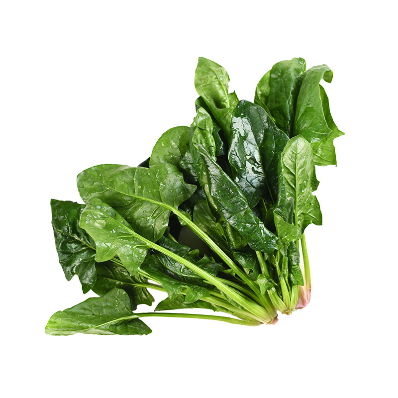 Fresh Vegetables from Best Quality Good for Health-8281