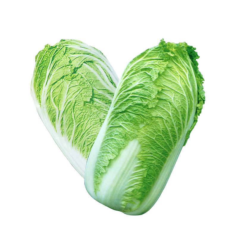 Fresh Vegetables from Best Quality Good for Health