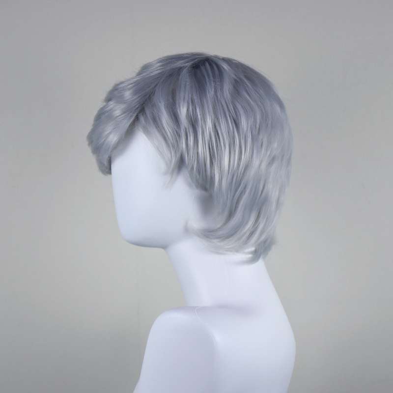 DALUSE WIG Silver Gray Short Straight Layered Bangs Wig 