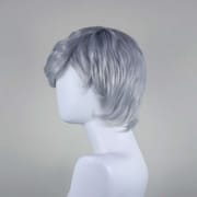 DALUSE WIG Silver Gray Short Straight Layered Bangs Wig 