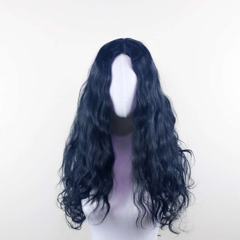 DALUSE WIG 26-inch Transparent Lace Front Black Wavy Wig