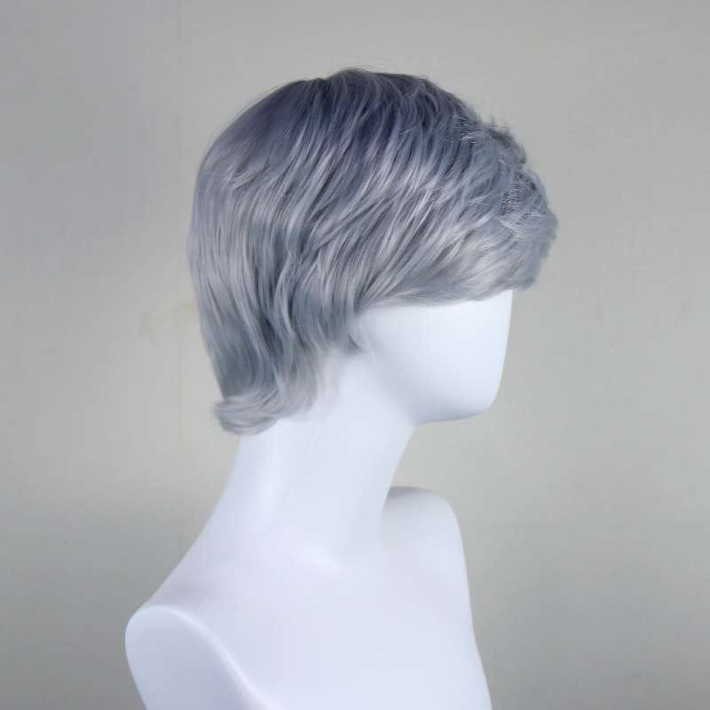 DALUSE WIG Silver Gray Short Straight Layered Bangs Wig 