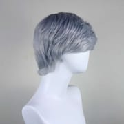 DALUSE WIG Silver Gray Short Straight Layered Bangs Wig 